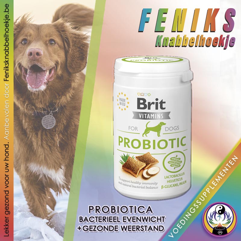 Probiotica hond , ter ondersteuning van een natuurlijk bacterieel evenwicht, helpt de darmflora van je hond herstellen.