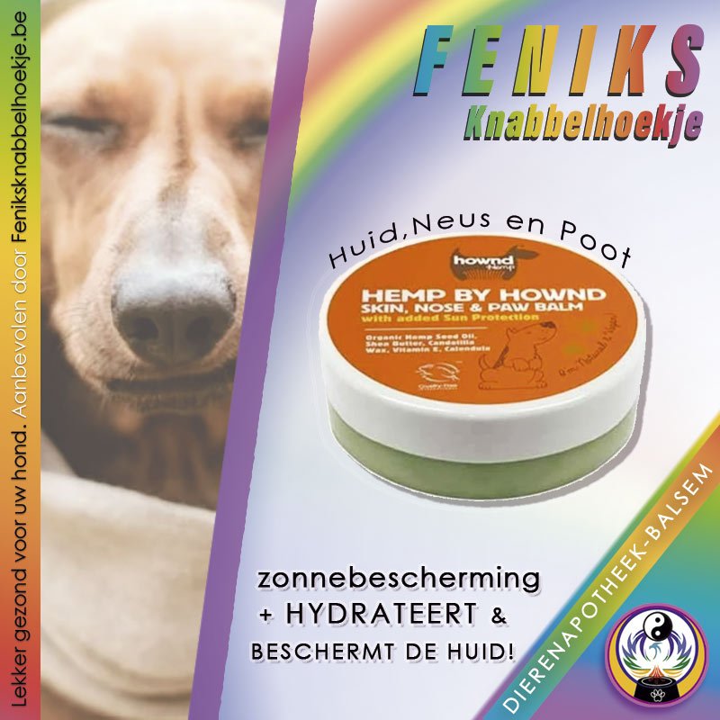 hownd-hemp-neus-en-pootjes-balsem-verzorging-zalf-voor-honden-winkel-online