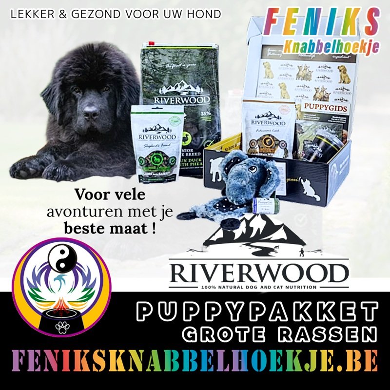 RWPP 002 Riverwood puppy pakket grote hondenrassen - hypoallergene hondenvoeding - gezond droogvoer