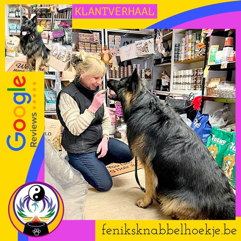 Klantverhaal Inge en Ylo in Feniks Knabbelhoekje, tandsteenverwijderaar en gezonde voeding voor honden.