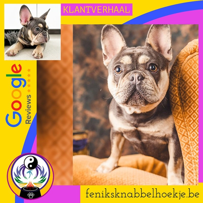 Klantverhaal positieve Google Review Sharon en Lilly een moeilijke eter