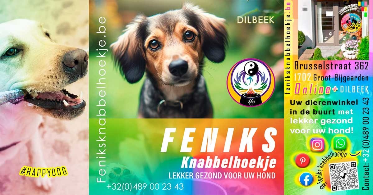 Feniks-knabbelhoekje-Uw-dierenwinkel-in-de-buurt-lekker-gezonde-hondenvoeding-snacks-en-voedingssupplementen-voor-honden